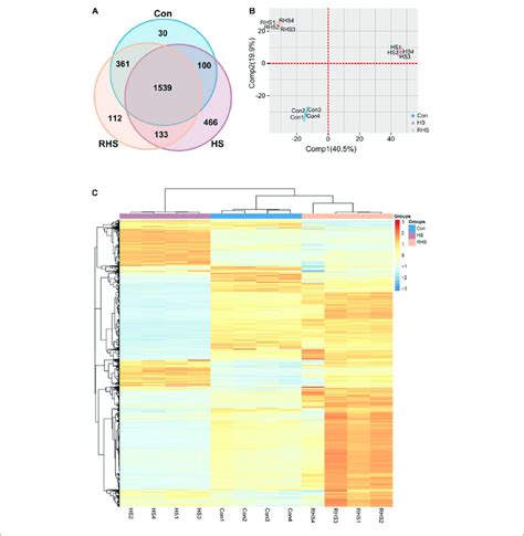 Venn Diagram Pca Analysis And Heat Map Analysis Representation Of Download Scientific