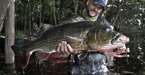 Pro Tucuna Pesca Esportiva Mapa Da Pesca