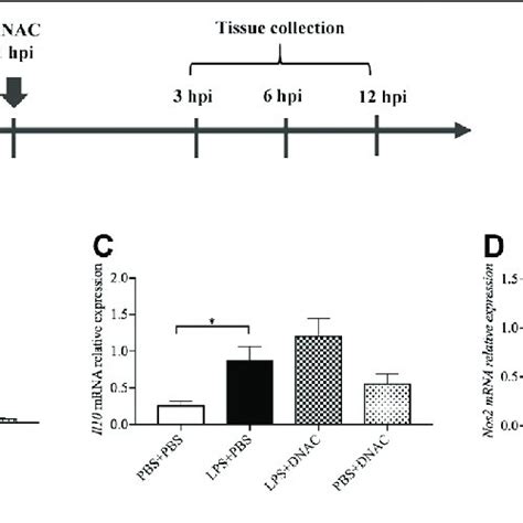 Measurements Of Inflammatory Cytokine Expression At Mrna Level In