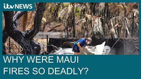 Maui Wildfires How Did The Wildfires Begin And Why Were They So Deadly