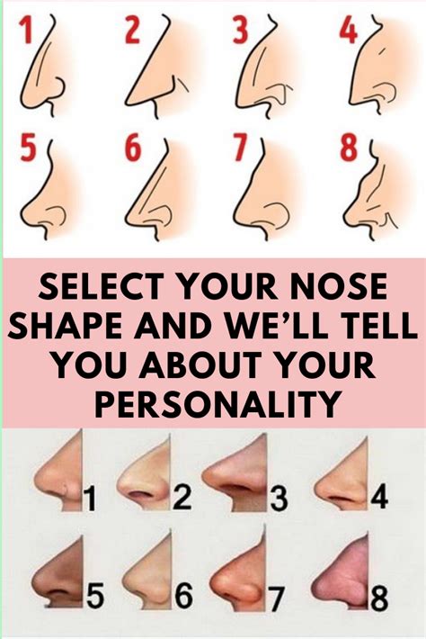 Nose Types Chart By Ethnicity