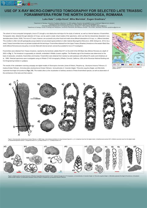 Pdf Use Of X Ray Micro Computed Tomography For Selected Late Triassic