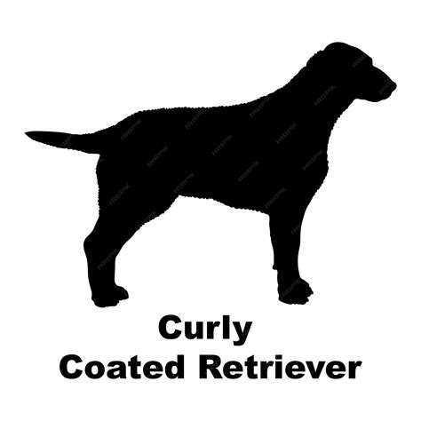 Premium Vector | Dog silhouette dog curly coated retriever breeds logo