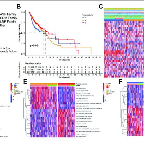 Pyroptosis Patterns And Biological Function In Hnscc A