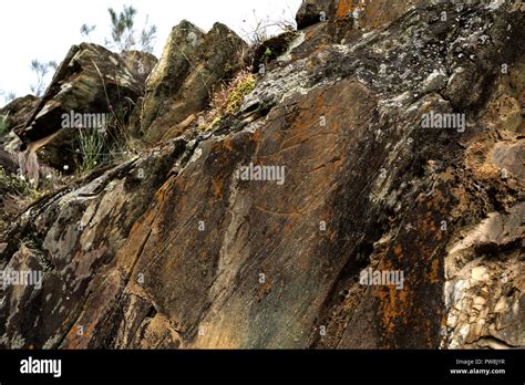 The Prehistoric Rock Art site of the Coa Valley is an open air Upper ...