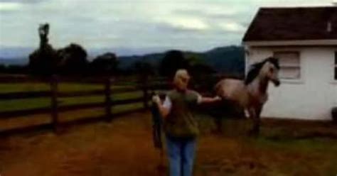 La Película Del Hombre Que Murió Por Tener Relaciones Con Un Caballo