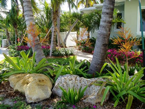 Pin By Dee Davis On Gardening Florida Landscaping Tropical Garden