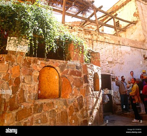 Burning bush sinai hi-res stock photography and images - Alamy