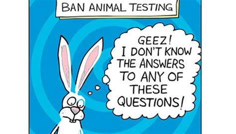 Advantages and Disadvantages of Animal Testing | Sciencing