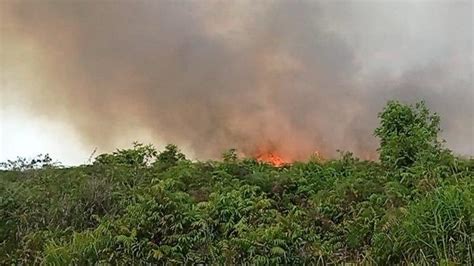 Jumlah Hotspot Di Riau Meningkat Menjadi 28 Titik Ini Sebaran