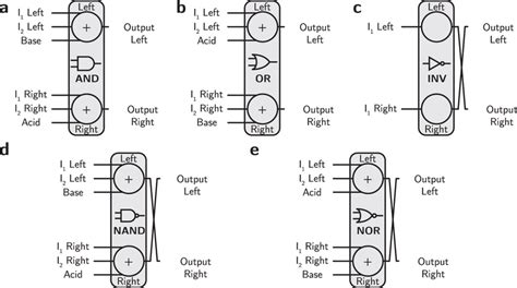 Primitive Logic Gates Represented By Acid Base Blocks A And Gate B Or