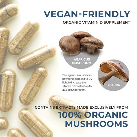 Vitamin D from Organic Mushrooms – Real Mushrooms