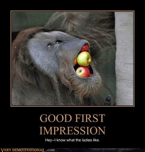 GOOD FIRST IMPRESSION Very Demotivational Demotivational Posters