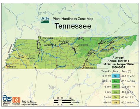 tennessee-vegetable-planting-calendar