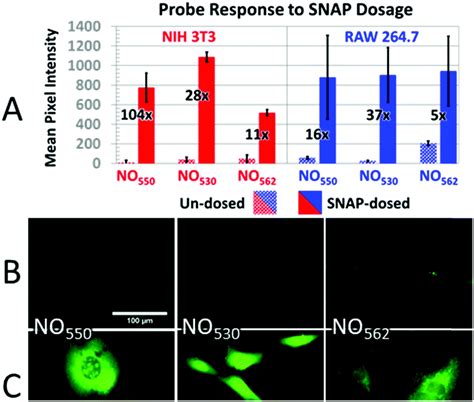 Amino Dialkylaminobiphenyl Based Fluorescent Intracellular Probes