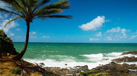 Passeio das Ilhas Tropicais na Baía de Camamu saídas de Itacaré