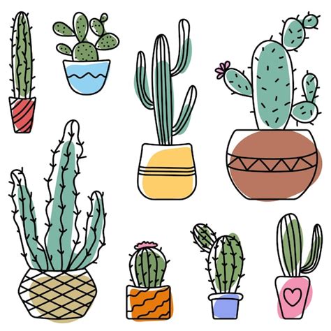 Premium Vector Set Of Hand Drawn Various Cacti In Colorful Flower