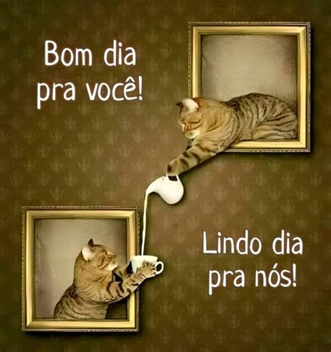 Pin De Vemkomigo Em Pins Criados Por Voc Bom Dia Animais Bom