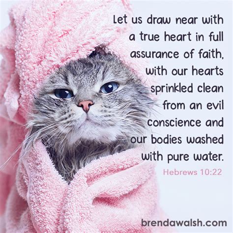 Clean Inside And Out Brenda Walsh Scripture Images