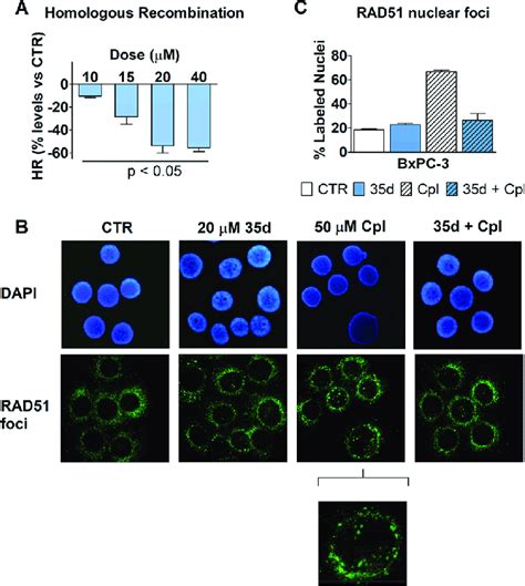 A Effect On Hr Caused By 35d Administered To Bxpc3 Cells During Download Scientific Diagram