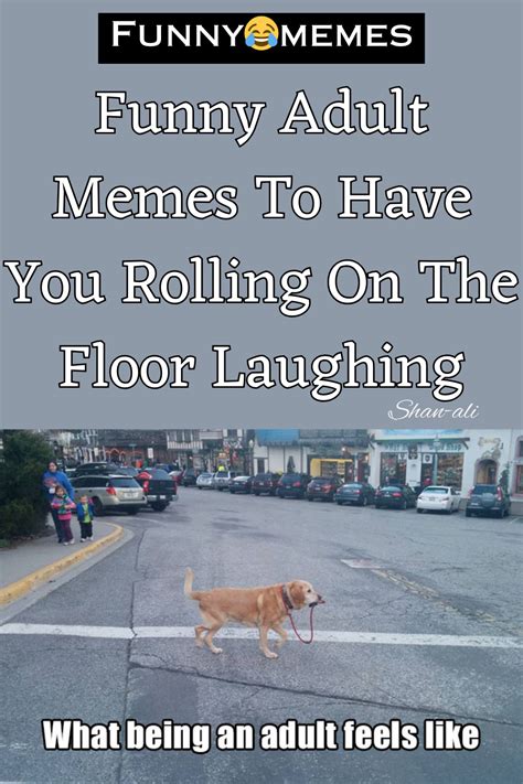 Funny Adult Memes To Have You Rolling On The Floor Laughing En 2024