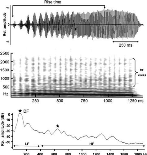 Vibrational Signal Of A Male U Crassicornis Top Waveform Download Scientific Diagram