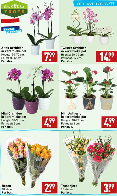 Orchidee Rozen Folder Aanbieding Bij Aldi Details