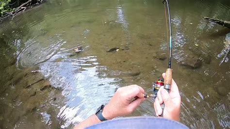 Creek Fishing For Smallmouth Bass Youtube