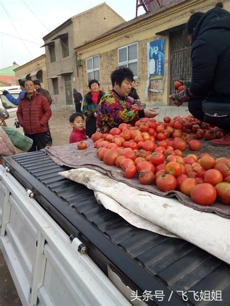 農村大姐站車上賣西紅柿，5毛一斤，都說這種柿子沒味？ 每日頭條