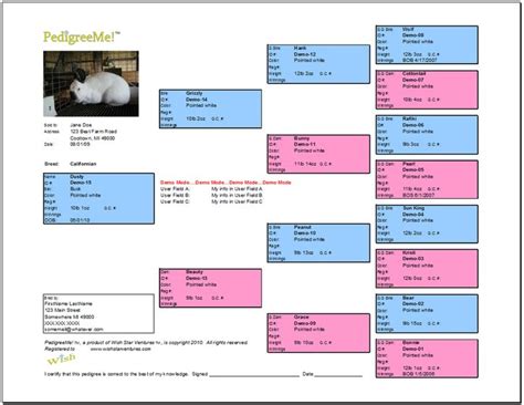 Free Rabbit Pedigree Templates Free Pedigree Chart Template Triple