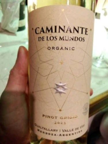 Jasmine Monet Caminante De Los Mundos Organic Pinot Grigio Vivino Us