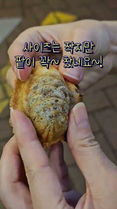 대학로에 줄서서 먹는 붕세권 붕어빵이 5개에 1000원 수정붕어빵 미니붕어빵 팥붕어빵 슈크림붕어빵 붕세권 대학로붕어빵 Youtube