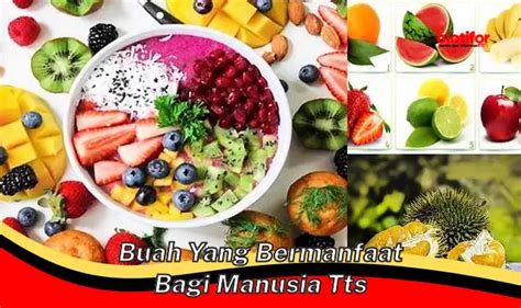 Temukan 5 Manfaat Buah Yang Jarang Diketahui Untuk Tubuh Anda Biotifor