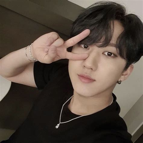 Changbin Skz Stray Kids Selca Selfie Pfp Icon Kids Earrings