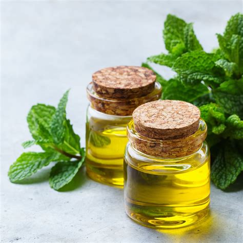 Aceite De Menta Refrescante Aceite Esencial Beneficios