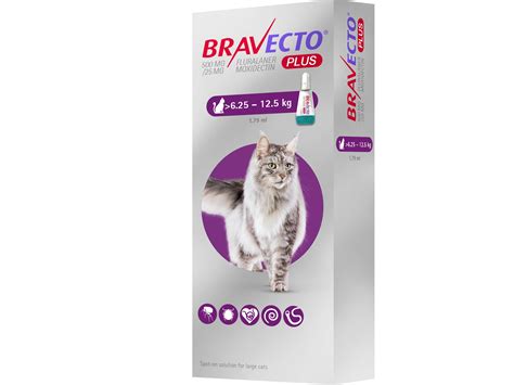 Bravecto Plus Mg Mg Solution Pour Spot On Pour Chats De