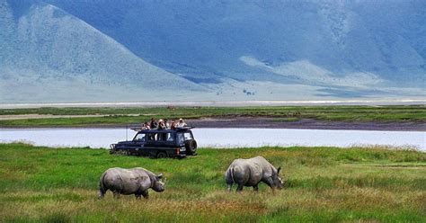 Tag Private Ngorongoro Krater Safari Getyourguide