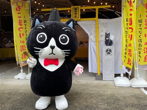 Yushima Cat Festival 2025 - Events in Tokyo - Japan Travel