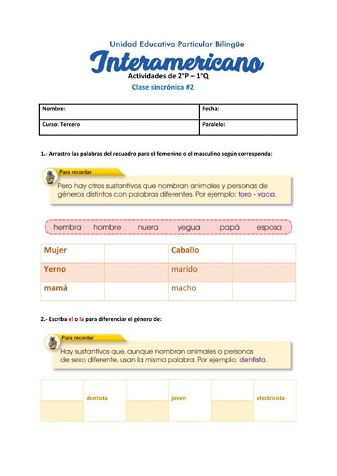 El GÉnero Del Sustantivo Activity Live Worksheets