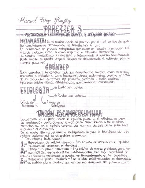 Inflamação Inclui Reparo Típico Metaplasia Escamosa 6