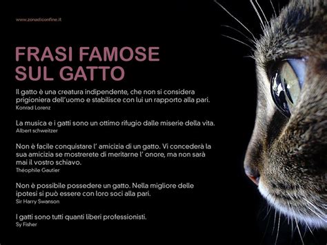 Una Raccolta Di Frasi Sui Gatti Le Frasi Pi Famose Sui Gatti Raccolte