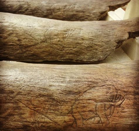 13,000-year-old mammoth carvings on mammoth bones : r/interestingasfuck