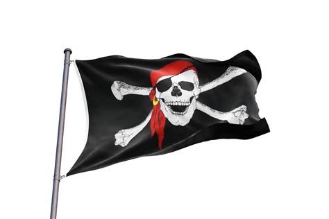 Authentic Pirate Flag For Sale Sons Of Pirate