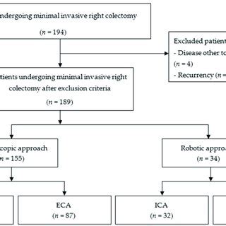 PRISMA Flowchart ICA Intracorporeal Anastomosis ECA Extracorporeal