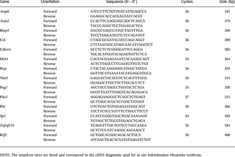 Sequences Of The Oligonucleotide Primers Employed In The RT PCR