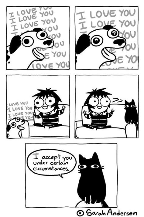 Vraie fiction: Cats (and dogs) in a nutshell