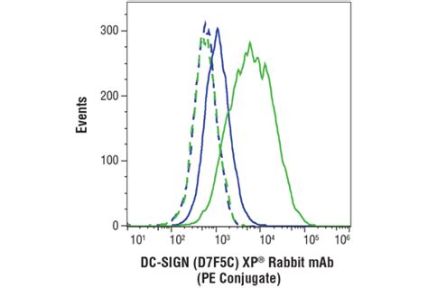 Dc Sign D F C Xp Rabbit Mab Pe Conjugate Cell Signaling Technology