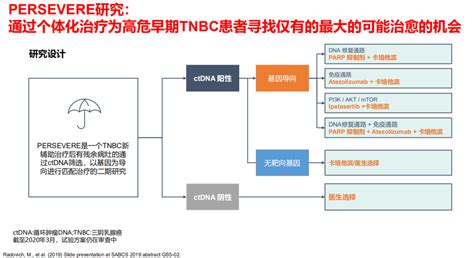 Csco 2020丨袁芃教授：三阴性乳腺癌治疗未来之路 精准检测和新的靶点 肿瘤瞭望