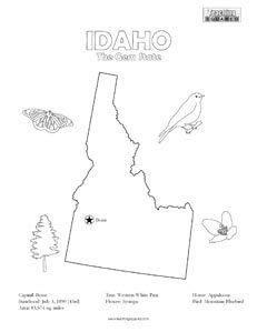 Idaho State Bird Coloring Page Coloring Pages