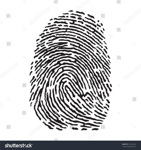 Vector Black Isolated Fingerprint On White Stock Vector Royalty Free